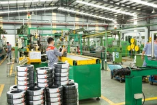 CAV chia cổ tức 40% bằng tiền