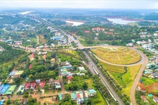 Công ty CP ARABICA Việt Nam trúng đấu giá đất xây khách sạn tại Đắk Nông