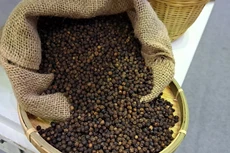 Doanh nghiệp Việt nguy cơ mất trắng lô hàng 516.761 USD xuất khẩu vào UAE