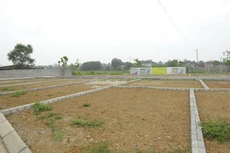 Ảnh minh họa: Internet