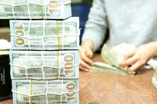 Tính đến hết tháng 2/2023, Chính phủ thực hiện ký kết 2 hiệp định vay nước ngoài với tổng giá trị khoảng 43 triệu USD. Ảnh: Nhã Chi