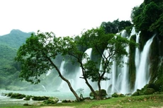 Đắk Lắk: Tìm tư vấn lập quy hoạch Khu du lịch Văn hóa - Sinh thái Buôn Đôn 