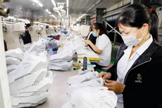 Chính sách giảm thuế giá trị gia tăng, giảm thuế thu nhập doanh nghiệp sẽ góp phần tăng thêm nguồn lực cho doanh nghiệp sản xuất, kinh doanh, từ đó nuôi dưỡng nguồn thu cho ngân sách nhà nước. Ảnh: Trần Việt