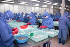 FMC chi hơn 130 tỷ đồng trả cổ tức năm 2022