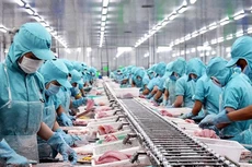 VASEP: Xuất khẩu thủy sản có tín hiệu tốt dần