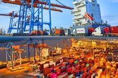 DVP chi 200 tỷ trả cổ tức 50% bằng tiền mặt