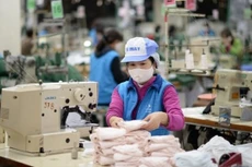 VGT chi 300 tỷ đồng trả cổ tức năm 2022