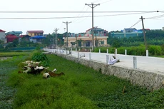 Gói thầu Thi công xây dựng thuộc Dự án Đường nội đồng liên xã tại huyện Ia Pa (tỉnh Gia Lai) có giá 9,945 tỷ đồng, là công trình giao thông nông thôn cấp IV. Ảnh minh họa: Tiên Giang