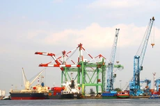 Các doanh nghiệp cảng biển được đánh giá còn nhiều dư địa tăng trưởng trong dài hạn. Ảnh: Tiên Giang