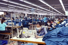 Bộ Lao động - Thương binh và Xã hội đề nghị đưa nội dung trình Nghị định quy định mức lương tối thiểu vùng với người lao động ra khỏi chương trình công tác năm 2023. Ảnh: Tiên Giang