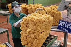 Xuất khẩu cao su sụt giảm