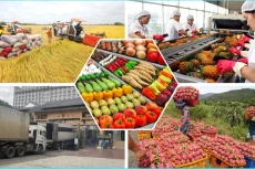 4 tháng đầu năm, xuất khẩu nông lâm thủy sản đạt 15,66 tỷ USD