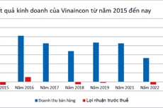 (Nguồn: Báo cáo tài chính của Vinaincon, đơn vị tính: tỷ đồng)
