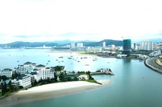 Đến nay, quy hoạch tổng thể quốc gia, quy hoạch sử dụng đất quốc gia, 6 quy hoạch ngành quốc gia, 1 quy hoạch vùng và 4 quy hoạch tỉnh đã được phê duyệt. Ảnh: Lê Tiên