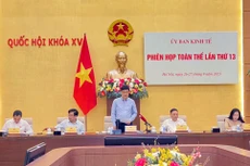 Chủ nhiệm Ủy ban Kinh tế của Quốc hội Vũ Hồng Thanh phát biểu tại Phiên họp toàn thể thứ 13. Ảnh: Nam An