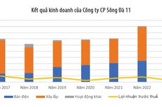 Nguồn: Tổng hợp từ Báo cáo tài chính hợp nhất sau soát xét của Công ty. Đơn vị tính: tỷ đồng