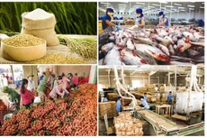 2 tháng đầu năm, xuất khẩu nông, lâm, thuỷ sản đạt trên 6 tỷ USD