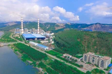 QTP trả cổ tức lần 1/2022 bằng tiền, tỷ lệ 5%