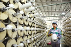 Nhiều doanh nghiệp không có kế hoạch mở rộng hoạt động kinh doanh do lo ngại khó khăn của thị trường. Ảnh: Lê Tiên