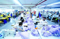 Ảnh minh họa: Internet