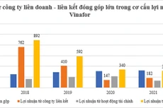 “Khám” sức khỏe tài chính Vinafor