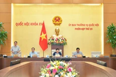 Phó Chủ tịch Quốc hội Nguyễn Đức Hải phát biểu điều hành Phiên họp. Ảnh: Nam An