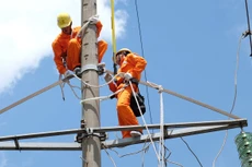 Cả 7 gói thầu bị phản ánh đều được đấu thầu rộng rãi, trong đó 6 gói đấu qua mạng. Ảnh minh họa: QV