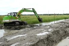 Công ty CP Xây dựng đê kè và Phát triển nông thôn Hải Dương đang thực hiện nhiều gói thầu thủy lợi lớn tại khu vực phía Nam. Ảnh minh họa: Tiên Giang