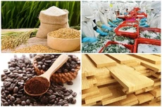 Xuất khẩu nông, lâm, thủy sản ước đạt 20,26 tỷ USD