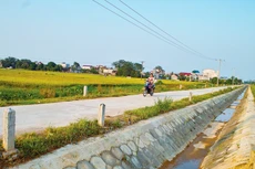 Từ ngày 1/8/2023 đến nay, Hệ thống e-GP mới ghi nhận 27 gói thầu sử dụng nguồn vốn Ngân hàng Thế giới được phát hành hồ sơ mời thầu. Ảnh: Nhã Chi