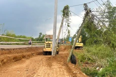 Thiếu sỏi đỏ (vật liệu đắp nền), nhiều nhà thầu thi công Dự án Nâng cấp, mở rộng đường ĐT.763 tại Đồng Nai không thể đẩy nhanh tiến độ. Ảnh: Ngọc Tuấn