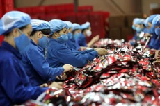 Quý I/2023, 8/9 ngành nghề có số lượng doanh nghiệp thành lập mới giảm so với quý I/2022. Ảnh: Tiên Giang