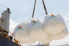 LTG lãi 343,4 tỷ đồng trong nửa đầu năm 2023