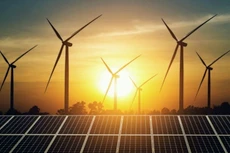 Ảnh minh họa: Internet