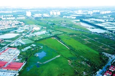 Cơ chế thu hồi đất phải giải quyết được những vướng mắc, điểm nghẽn trong giải phóng mặt bằng và triển khai dự án, tạo động lực thúc đẩy kinh tế - xã hội phát triển. Ảnh: Tiên Giang