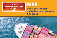 MSB chào bán tàu biển chở hàng giá khởi điểm 9 tỷ đồng