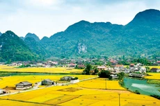 Tiến độ thực hiện các chương trình mục tiêu quốc gia đang rất chậm, không đúng yêu cầu đặt ra. Ảnh: Bùi Mai Thiện