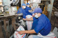Xuất khẩu sụt giảm ảnh hưởng đến kết quả kinh doanh của doanh nghiệp phân bón. Ảnh: Hồng Kỳ