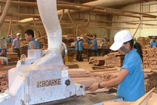 Quý IV/2022, PTB báo lãi giảm 40,4%