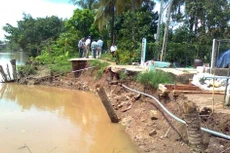 Ảnh minh họa: Nguồn Internet