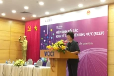 Hội thảo "Hiệp định RCEP: Tình hình đàm phán và những vấn đề DN cần quan tâm" diễn ra tại Hà Nội. Ảnh: Trần Nam