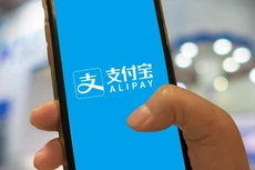 Một số tổ chức như ngân hàng, đơn vị cung ứng dịch vụ trung gian thanh toán đề xuất mô hình thí điểm hợp tác thanh toán với AliPay, Wechatpay, Unionpays, Nonghyup Bank... nhưng hiện thiếu cơ chế quản lý