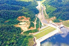 Ảnh chỉ mang tính minh họa. Nguồn Internet