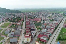 Ảnh minh họa: Internet