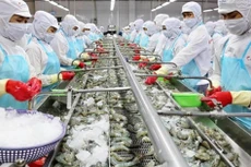 Ảnh chỉ mang tính minh họa. Nguồn Internet