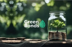 Hệ thống phân loại xanh: "Chìa khóa" nâng tầm thị trường trái phiếu xanh Việt Nam