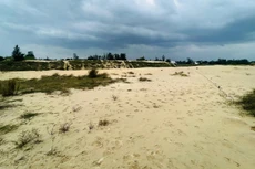 Ảnh chỉ mang tính minh họa. Nguồn Internet