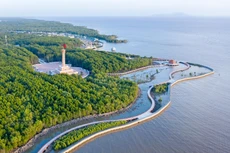 Ảnh chỉ mang tính minh họa. Nguồn Internet