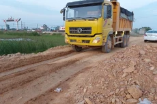 Ảnh minh họa: Internet