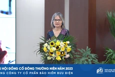 Chủ tịch HĐQT PTI Phạm Minh Hương